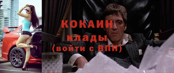 шишки Семикаракорск